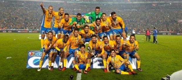 Tigres se coronó campeón del Apertura 2016 de la Liga MX Tigres se coronó campeón del Apertura 2016 de la Liga MX