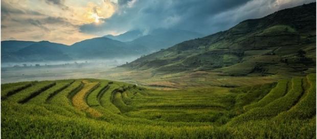 Farming in China / Photo no attrition CCO Public Domain Pixabay Farming in China / Photo no attrition CCO Public Domain Pixabay