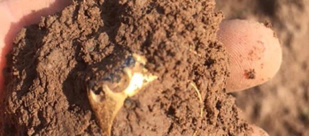 Inghilterra: camionista 34enne trova un anello del XIV secolo. Inghilterra: camionista 34enne trova un anello del XIV secolo.