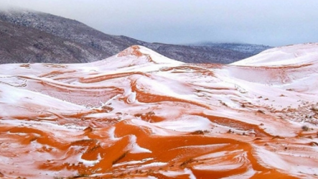 foto scattata da Karim Bouchetata in Algeria nel deserto del Sahara