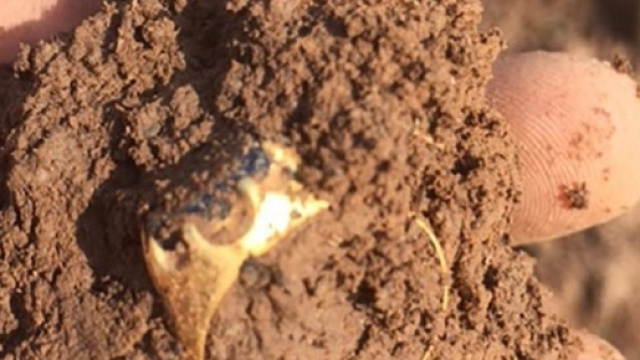 Inghilterra: camionista 34enne trova un anello del XIV secolo.