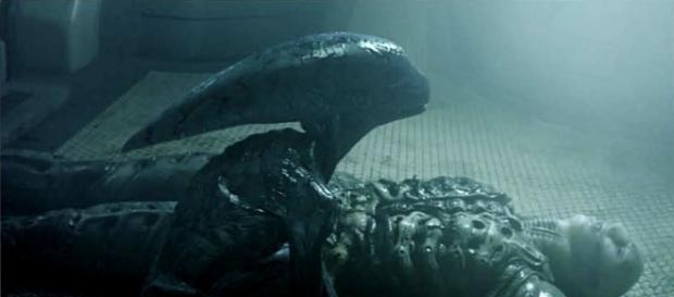ALIEN: COVENANT Is Rumored to Feature Two Xenomorph-Type Monsters ... - geektyrant.com ALIEN: COVENANT Is Rumored to Feature Two Xenomorph-Type Monsters ... - geektyrant.com