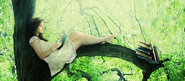 Efectos positivos para la salud de pasar tiempo en entornos naturales Efectos positivos para la salud de pasar tiempo en entornos naturales