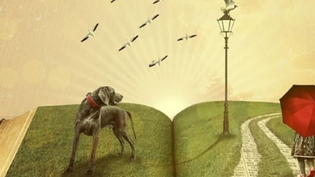 10 motivi per leggere un libro | PourFemme - pourfemme.it