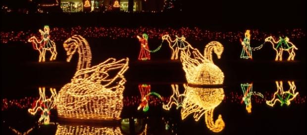Andere Länder, andere Sitten: Die Amerikaner mögen es an Weihnachten bunt. (Fotoverantw./URG Suisse: Blasting.News Archiv) Andere Länder, andere Sitten: Die Amerikaner mögen es an Weihnachten bunt. (Fotoverantw./URG Suisse: Blasting.News Archiv)