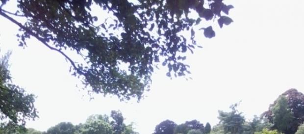 A Natureza limpa significa vida A Natureza limpa significa vida