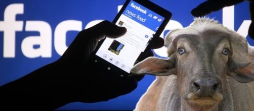 Le bufale create ad arte da specialisti della disinformazione sono diffuse a piene mani su Facebook