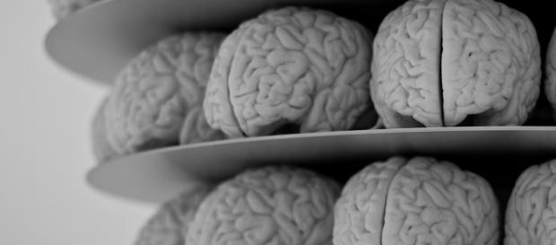 Nel 2016 sono stati compiuti altri importanti passi avanti dai neuroscienziati Nel 2016 sono stati compiuti altri importanti passi avanti dai neuroscienziati