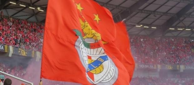 O SL Benfica procura conquistar novamente a Taça da Liga O SL Benfica procura conquistar novamente a Taça da Liga