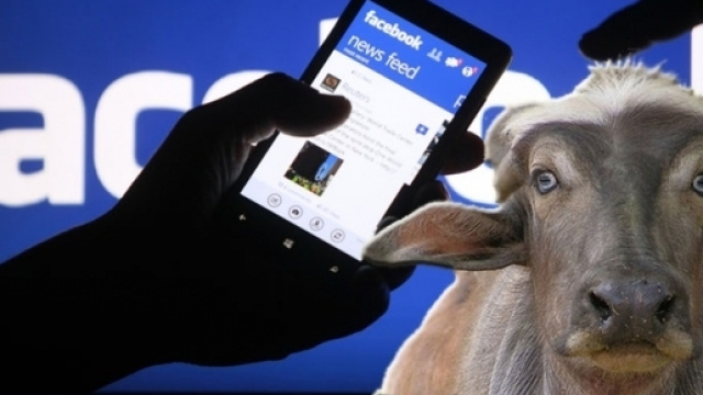 Le bufale create ad arte da specialisti della disinformazione sono diffuse a piene mani su Facebook