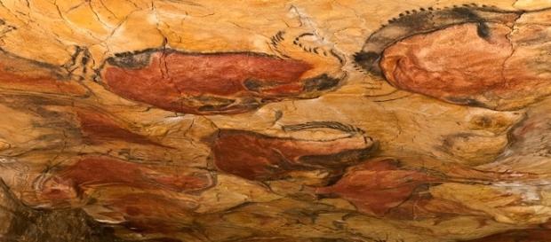 Bisontes de la cueva de Altamira. Bisontes de la cueva de Altamira.