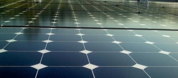 Soja por paineis fotovoltaicos: uma saída para a economia Soja por paineis fotovoltaicos: uma saída para a economia