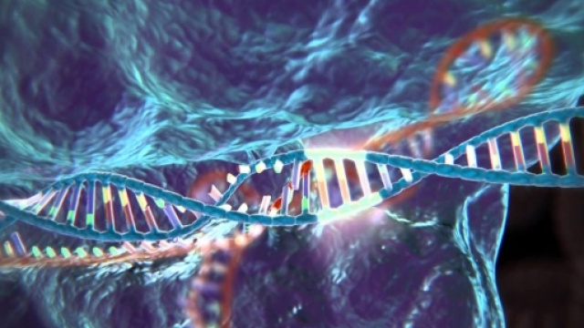 Una nuova ricerca scientifica ha allungato la vita dei topi - manuelmarangoni.it