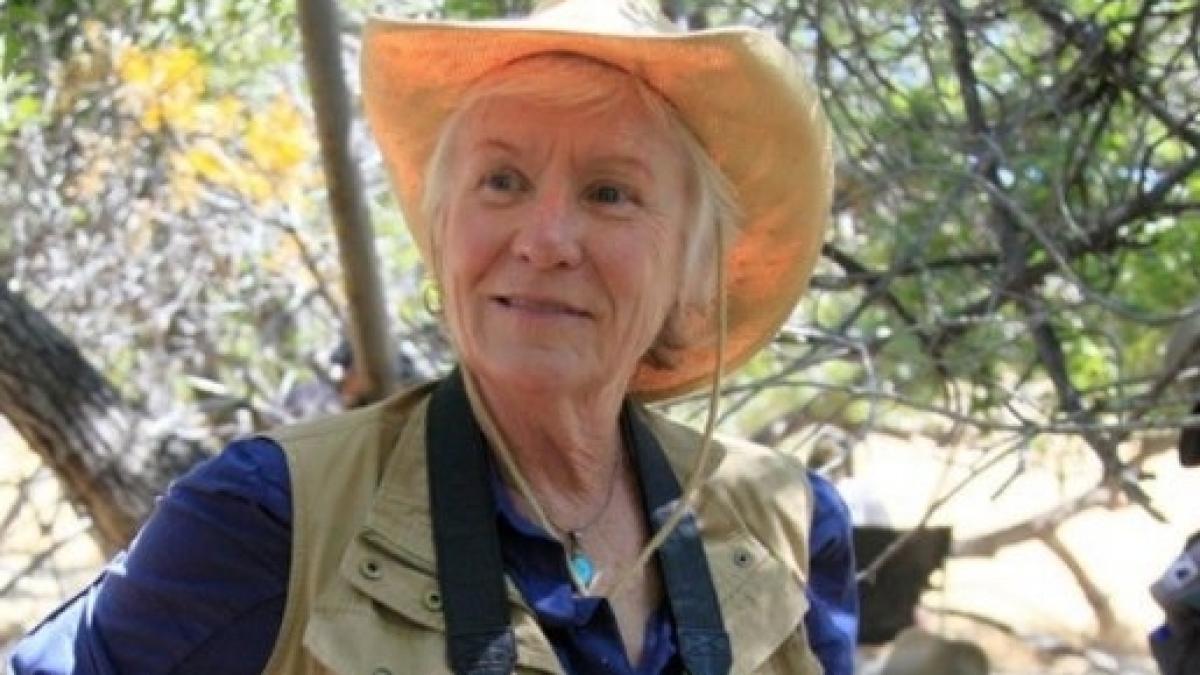 2019 year - Barbara Tarbuck 2019 year