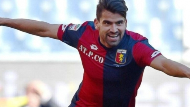 Ultime news calciomercato Juventus: Rincon e Witsel, i due rinforzi per Allegri? - as.com