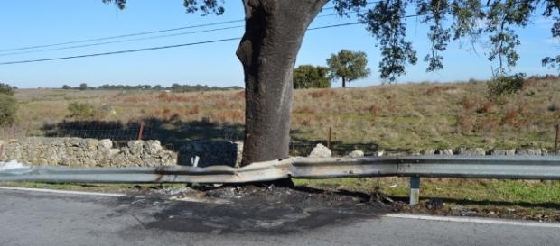 Acidente entre Nisa e Alpalhão, distrito de Portalegre, faz duas vítimas mortais. Acidente entre Nisa e Alpalhão, distrito de Portalegre, faz duas vítimas mortais.