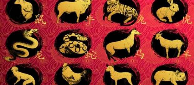 Previsões para 2017 de acordo com a astrologia chinesa. Previsões para 2017 de acordo com a astrologia chinesa.