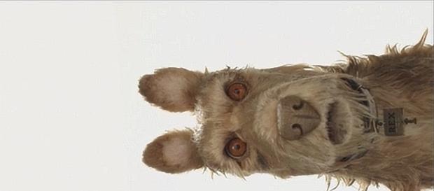 Rex, uno de los personajes de Isle Of Dogs, interpretado por Edward Norton. Rex, uno de los personajes de Isle Of Dogs, interpretado por Edward Norton.