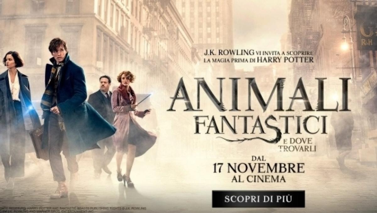 Animali Fantastici E Dove Trovarli La Nuova Serie E Servita