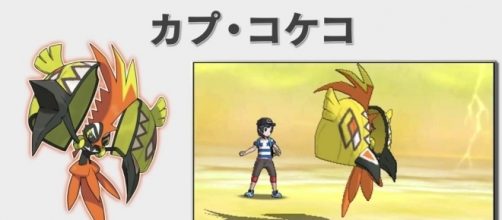 Ah, so that's why Tapu Koko looks like a rooster - Pokemon Sun ... - gamefaqs.com