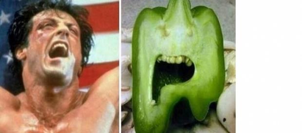 Grande semelhança entre um pimentão e Rocky Balboa. Grande semelhança entre um pimentão e Rocky Balboa.