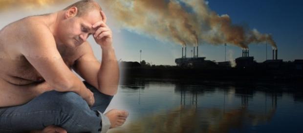 La contaminación afecta al sistema endocrino humano de diferentes formas La contaminación afecta al sistema endocrino humano de diferentes formas
