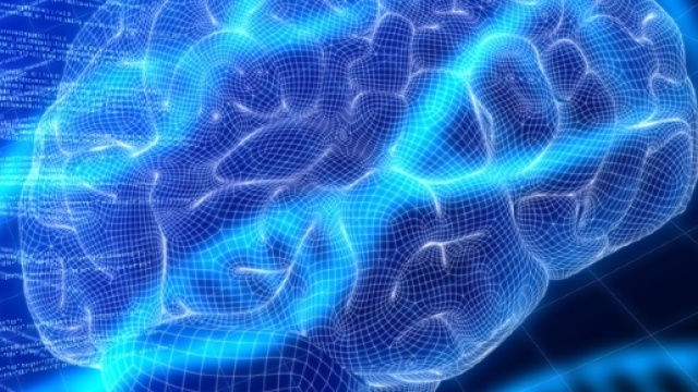 L'autisme, grande cause nationale 2012 - inserm.fr