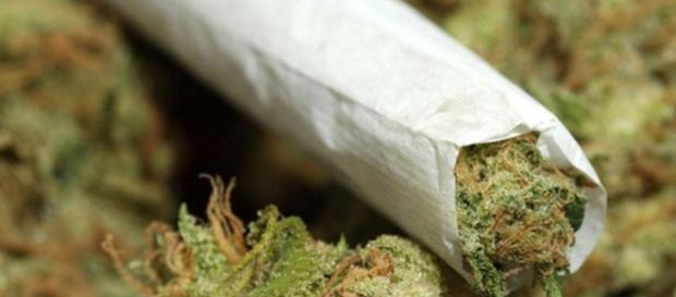 Napoli: arrestati con 3,5 kg di Marijuana fanno ridere i Carabinieri. Napoli: arrestati con 3,5 kg di Marijuana fanno ridere i Carabinieri.