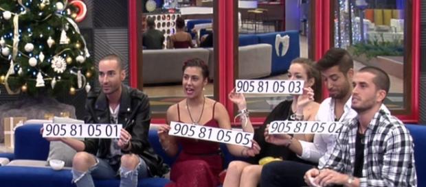Bea, Miguel, Rodrigo, Meritxell y Alain finalistas de GH17. Bea, Miguel, Rodrigo, Meritxell y Alain finalistas de GH17.