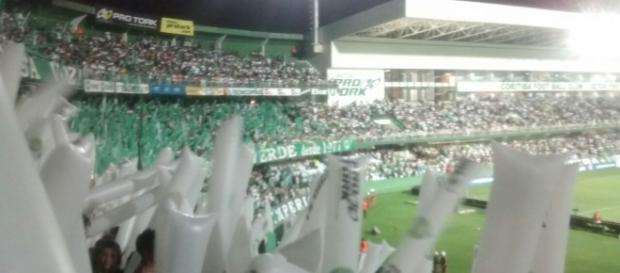 Estádio Couto Pereira receberá um culto ecumênico em homenagem à Chapecoense Estádio Couto Pereira receberá um culto ecumênico em homenagem à Chapecoense