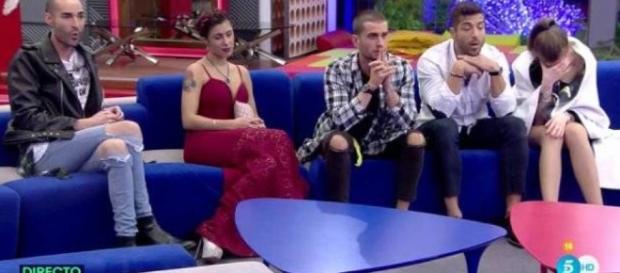 Gran Hermano 17: Miguel, Bea, Rodrigo, Alain y Meritxell se juegan la Final. Gran Hermano 17: Miguel, Bea, Rodrigo, Alain y Meritxell se juegan la Final.