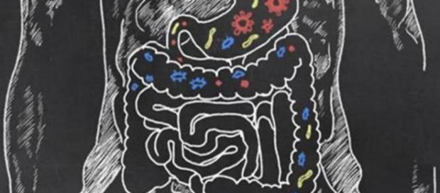 Parkinson pode começar no intestino Parkinson pode começar no intestino