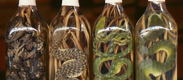 Presentes assustadores para dar aos amigos Presentes assustadores para dar aos amigos