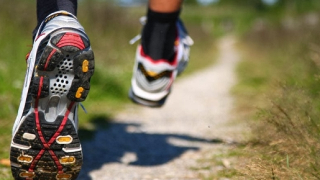 CorrereperstarBene: novembre 2013 - blogspot.com