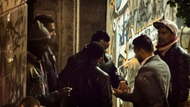 Frosinone: maxi blitz contro supermarket della droga