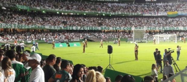 Quase trinta mil torcedores unidos pela Chapecoense Quase trinta mil torcedores unidos pela Chapecoense
