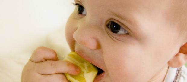 Kids With Food Allergies From Low-Income Families Suffer Highest ... - techtimes.com Kids With Food Allergies From Low-Income Families Suffer Highest ... - techtimes.com