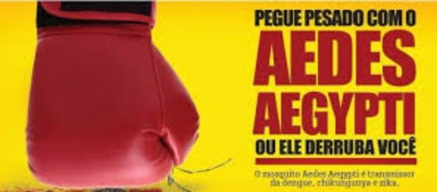 Combate ao Aedes(Foto:Reprodução) Combate ao Aedes(Foto:Reprodução)