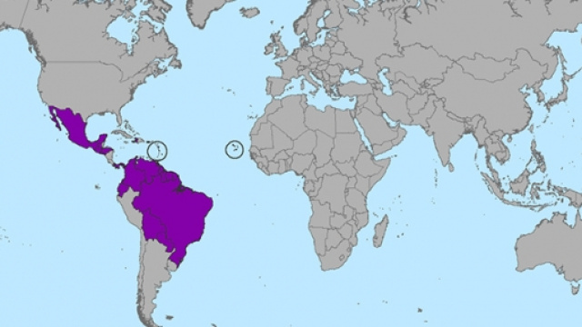 mappa della diffusione di Zika Virus
