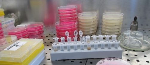 Biopsia liquida e diagnosi di tumori.