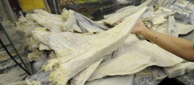 Bacalhau esta 40% mais caro este ano. Bacalhau esta 40% mais caro este ano.