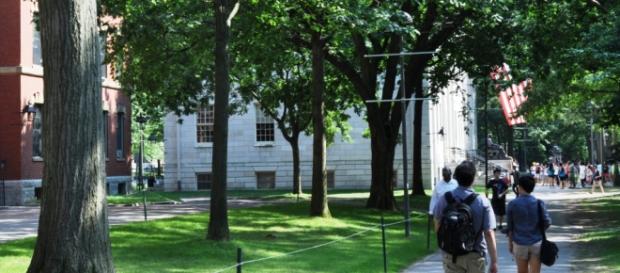 Calçadas em Boston são confortáveis e alegres. Calçadas em Boston são confortáveis e alegres.