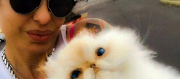 Daniela cardone con su gatito Matute Daniela cardone con su gatito Matute