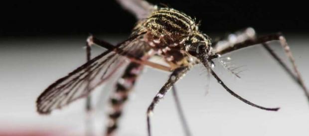 El virus se expande con rapidez extrema rapidez El virus se expande con rapidez extrema rapidez