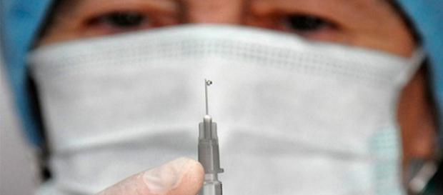 Gripa porcină ajunge în vestul ţării Gripa porcină ajunge în vestul ţării
