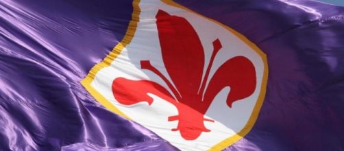 Il giglio rosso, simbolo della Fiorentina