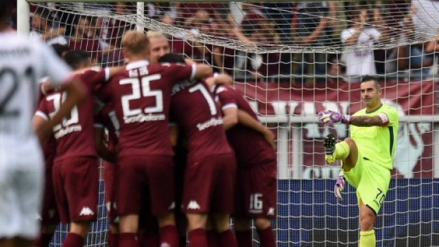 Ecco le Probabili formazioni Palermo-Torino.