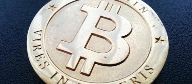 Bitcoin popularity continues to rise Bitcoin popularity continues to rise