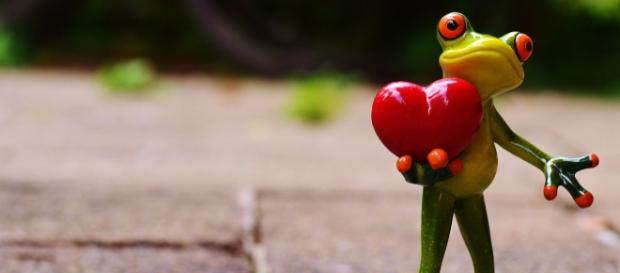 El amor no sólo se da en San Valentín... El amor no sólo se da en San Valentín...