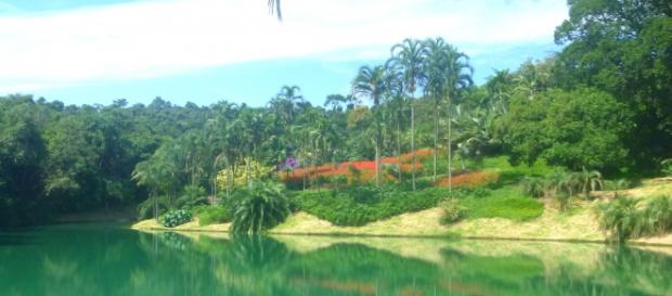 Inhotim e seus lagos e jardins, perfeita harmonia. Inhotim e seus lagos e jardins, perfeita harmonia.
